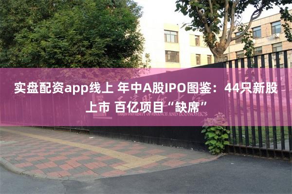 实盘配资app线上 年中A股IPO图鉴：44只新股上市 百亿项目“缺席”