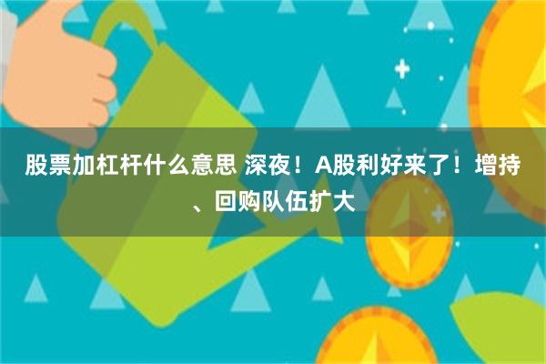 股票加杠杆什么意思 深夜！A股利好来了！增持、回购队伍扩大