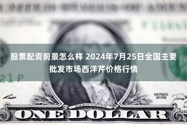 股票配资前景怎么样 2024年7月25日全国主要批发市场西洋芹价格行情