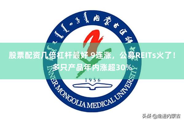 股票配资几倍杠杆最好 9连涨，公募REITs火了！多只产品年内涨超30%