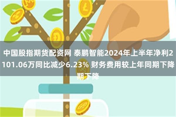 中国股指期货配资网 泰鹏智能2024年上半年净利2101.06万同比减少6.23% 财务费用较上年同期下降