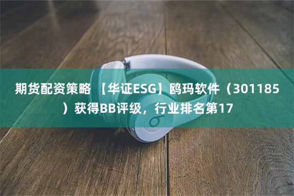 期货配资策略 【华证ESG】鸥玛软件（301185）获得BB评级，行业排名第17