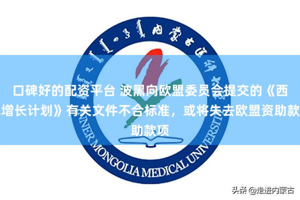 口碑好的配资平台 波黑向欧盟委员会提交的《西巴增长计划》有关文件不合标准，或将失去欧盟资助款项