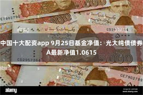 中国十大配资app 9月25日基金净值：光大纯债债券A最新净值1.0615