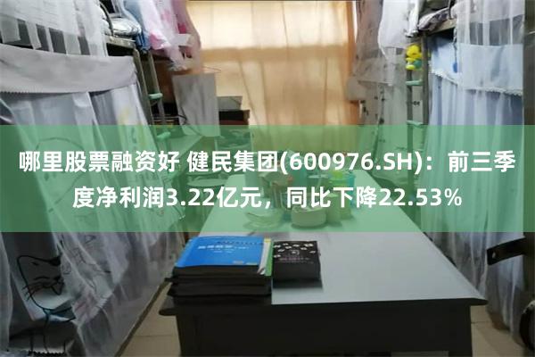 哪里股票融资好 健民集团(600976.SH)：前三季度净利润3.22亿元，同比下降22.53%