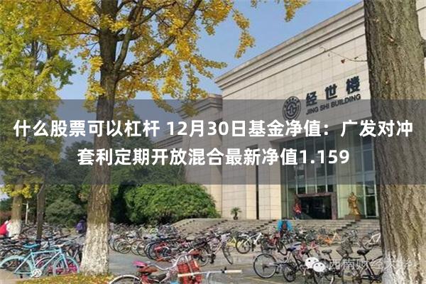 什么股票可以杠杆 12月30日基金净值：广发对冲套利定期开放混合最新净值1.159