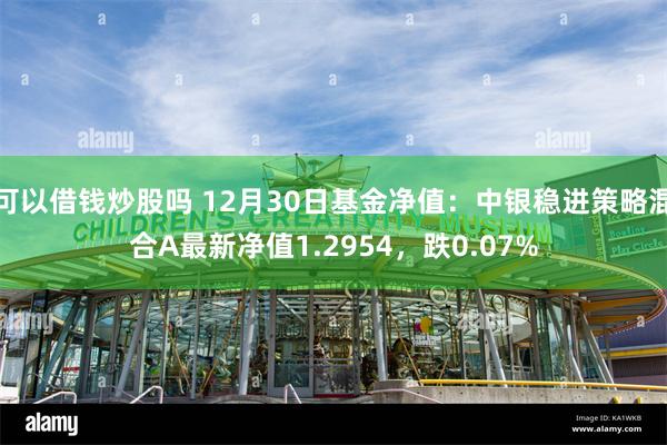 可以借钱炒股吗 12月30日基金净值：中银稳进策略混合A最新净值1.2954，跌0.07%